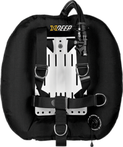 HYDROS 50 DIR SS backplate